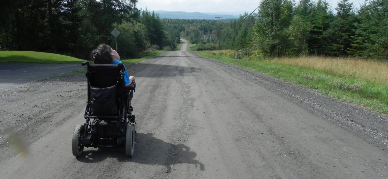 road, country road, searching, wheelchair, journey, path, disability