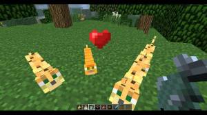 From the Minecraft Game