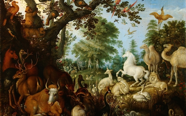 Genesis Roelandt-Savery