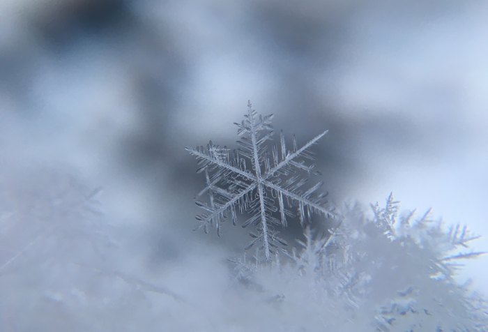 Snow, winter, storm, snowflake