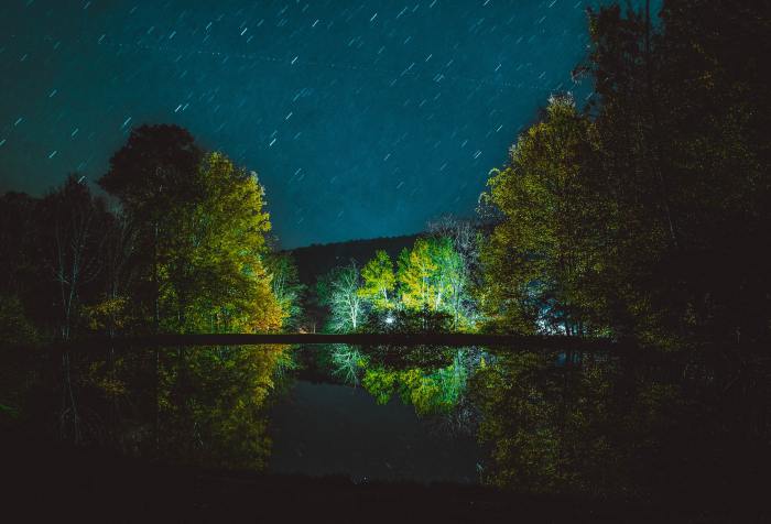 dark night, reflection, green place, shelter