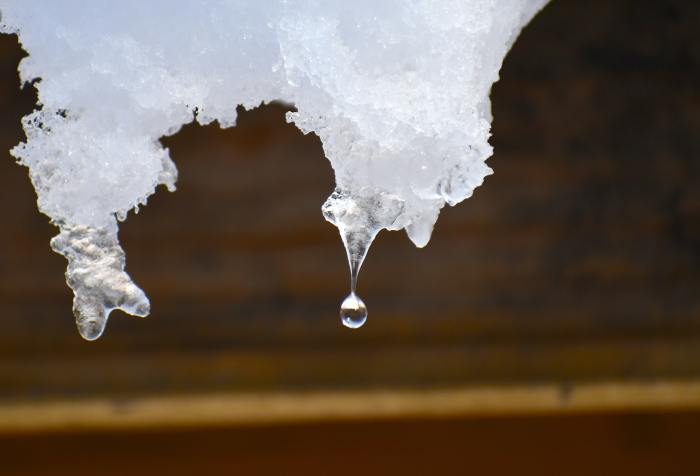 melting snow dripping