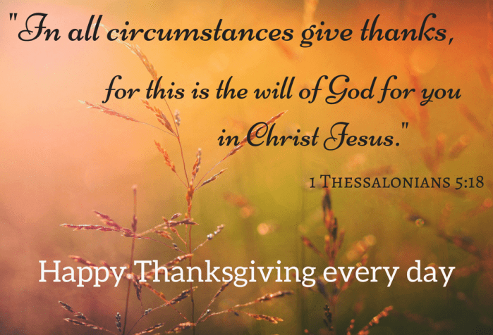 A wheat field with the words In all circumstances give thanks, for this is the will of God for you in Christ Jesus. Happy Thanksgiving every day