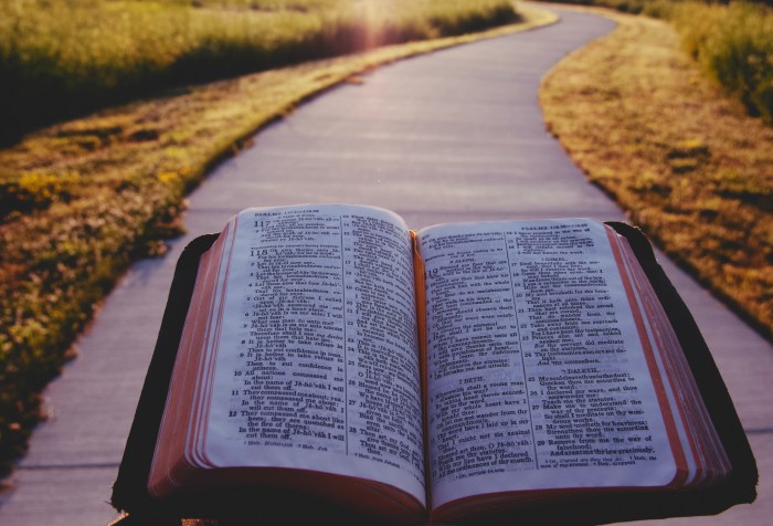 An open Bible with a sunlit path leading from it