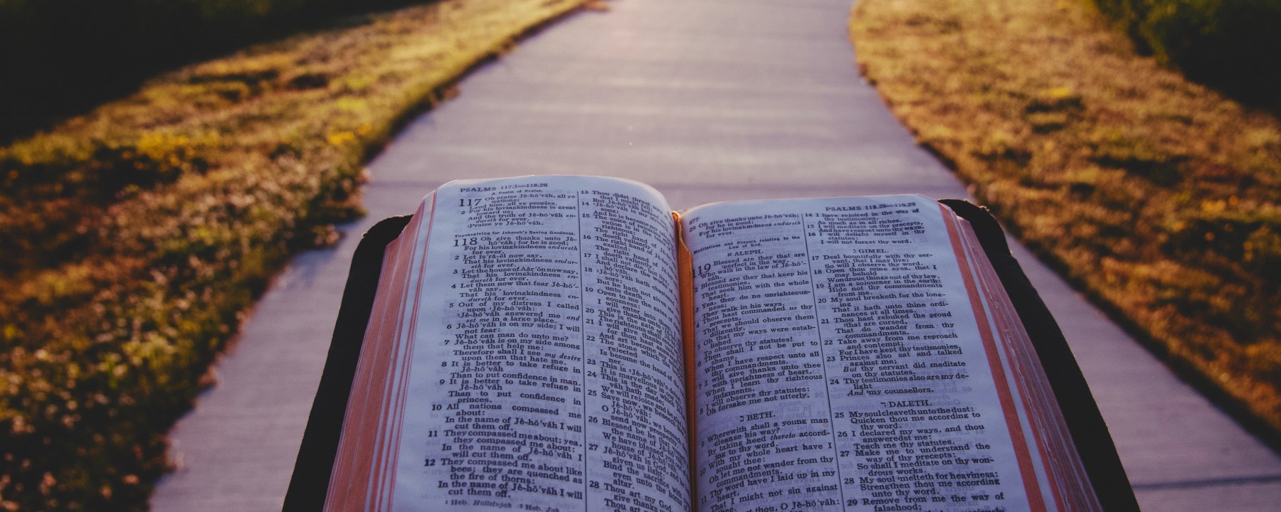 An open Bible with a sunlit path leading from it