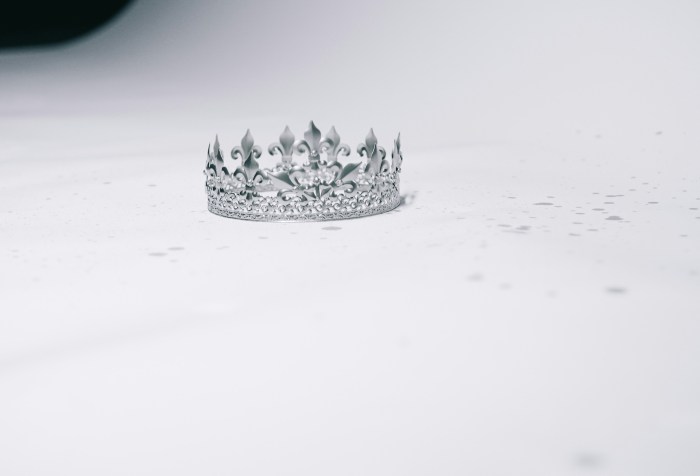 A silver crown on a large field of white