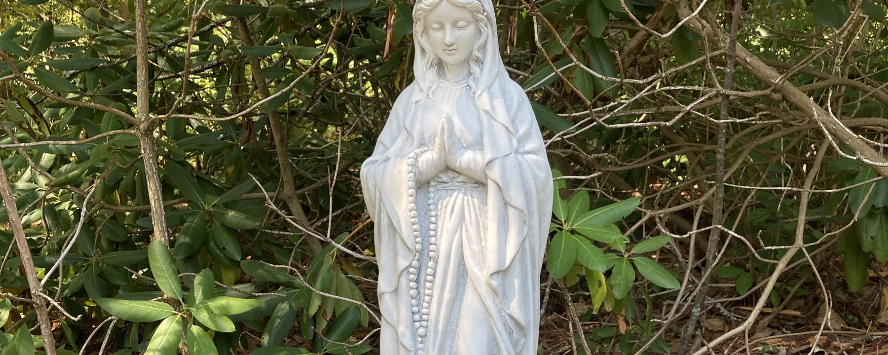 Statue of the Virgin Mary in a natural grotto of rhododendron