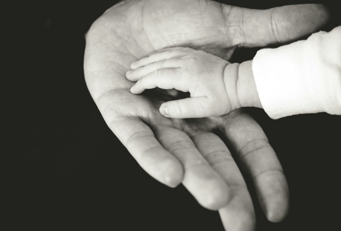 child's hand in father's hand