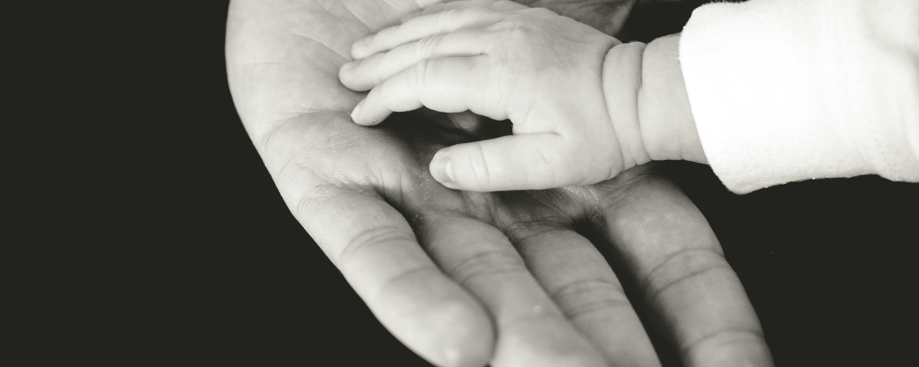 child's hand in father's hand